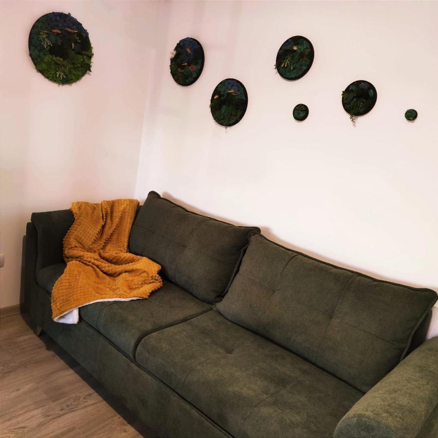 Cozy Studio Apartment Brașov Exterior foto