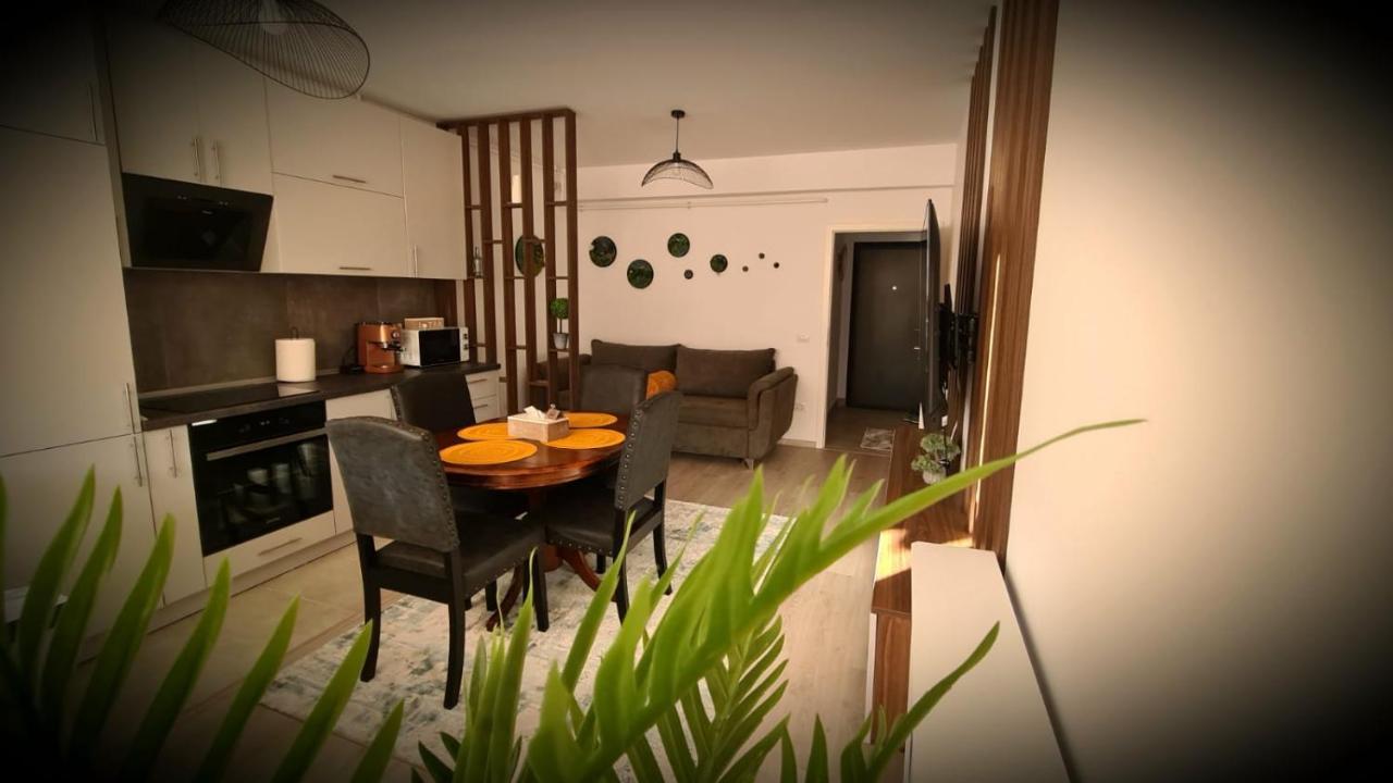 Cozy Studio Apartment Brașov Exterior foto