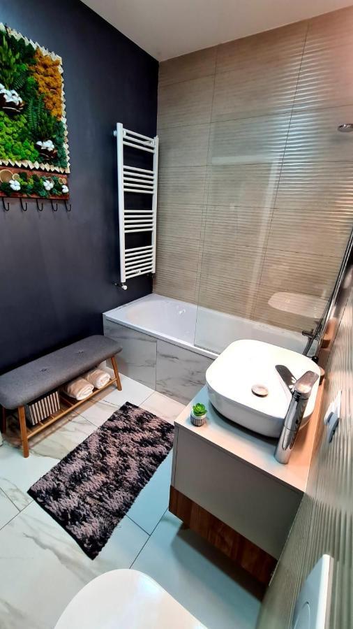 Cozy Studio Apartment Brașov Exterior foto